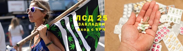 гидропоника Осинники