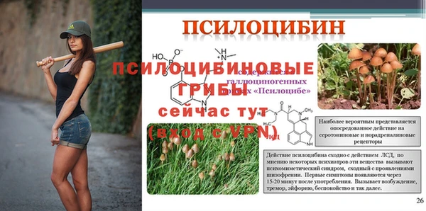 mix Осташков