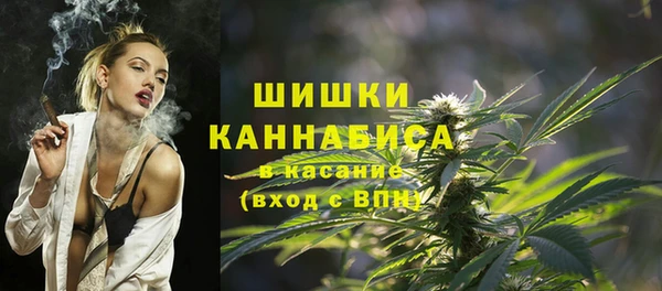 гидропоника Осинники
